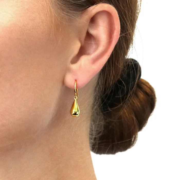 BERRICLE Teardrop Fish Hook Earrings in Sterling Silver Earrings