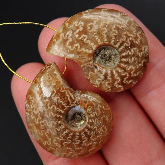 Intrinsic Trading Earrings Drilled Whole Small Ammonite Earring Pair Matched Full Baby Ammonite Fossil Cabochon Cab Pair Drilled Matched Earrings Bead Pair E3297