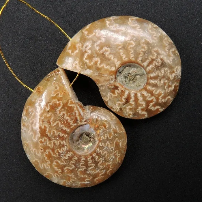 Intrinsic Trading Earrings Drilled Whole Small Ammonite Earring Pair Matched Full Baby Ammonite Fossil Cabochon Cab Pair Drilled Matched Earrings Bead Pair E3297