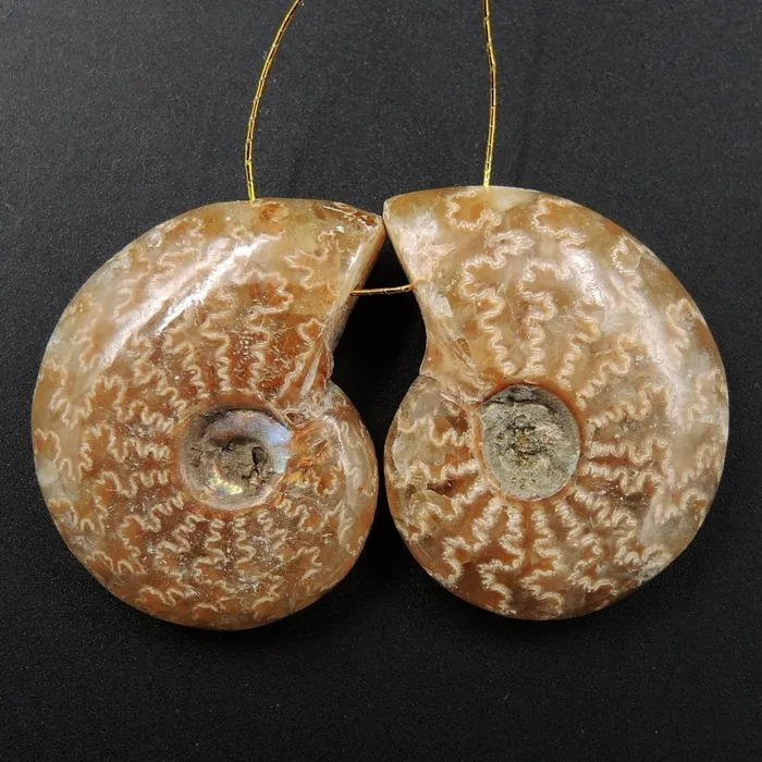 Intrinsic Trading Earrings Drilled Whole Small Ammonite Earring Pair Matched Full Baby Ammonite Fossil Cabochon Cab Pair Drilled Matched Earrings Bead Pair E3297