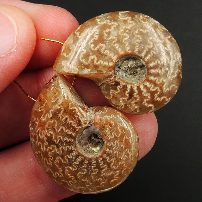 Intrinsic Trading Earrings Drilled Whole Small Ammonite Earring Pair Matched Full Baby Ammonite Fossil Cabochon Cab Pair Drilled Matched Earrings Bead Pair E3297