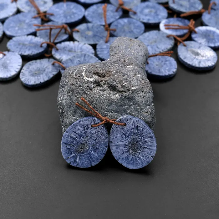 Intrinsic Trading Earrings Natural Blue Sponge Coral Earring Pair Cabochon Cab Circle Coin Gemstone Bead Pair Intrinsic Trading Earrings Natural Blue Sponge Coral Earring Pair Cabochon Cab Circle Coin Gemstone Bead Pair