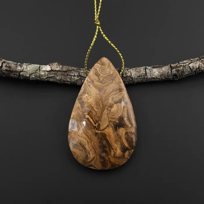 Necklaces Intrinsic Trading Rare Genuine Natural Fossilized Algae Pendant Top Side Drilled Teardrop Gemstone A4 Necklaces Intrinsic Trading Rare Genuine Natural Fossilized Algae Pendant Top Side Drilled Teardrop Gemstone A4