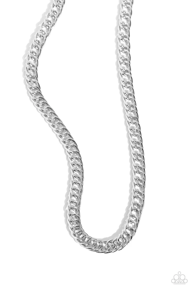 Necklaces Pro League Silver Paparazzi Necklace Paparazzi Accessories