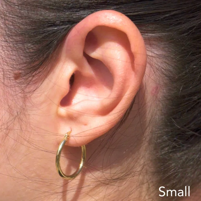 Earrings Happy Jewelers Polished Hoop Earrings