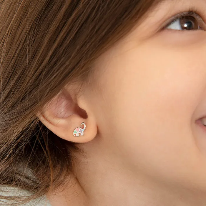 My Dinosaur Friend Kids Childrens Girls Earrings Screw Back Enamel Sterling Silver Kids Screw Back Earrings Earrings